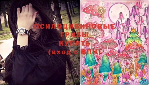 дмт Алексин