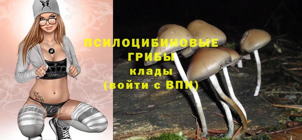 прущие крисы Козловка